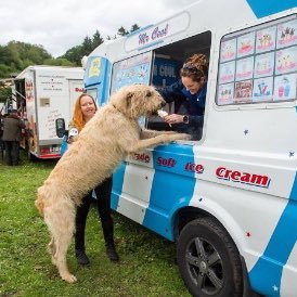 MichaelJamesNCA's profile picture. 