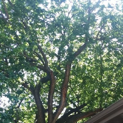 ESH84888891's profile picture. 