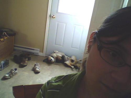 obsessedocdgirl's profile picture. 