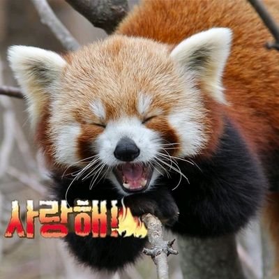 우끼행🤔 💙