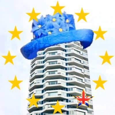 We are Croydon residents who know our country is #BetterOffWithEU. #GetTheToriesOut, sort our country out, PR will help, then gradually #RejoinEU ⭐🇬🇧🇪🇺🕯