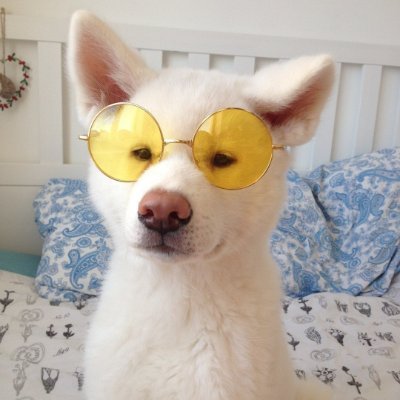 xrhstos_v's profile picture. ?