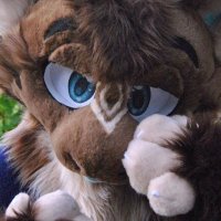 Nexus Dunes (AD) 🔜 FWA (@nexusthedraget) 's Twitter Profile