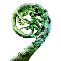Institute of Biotechnology (BI) (@biotech_uh) 's Twitter Profile