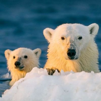 Devanshu1Sharma's profile picture. 