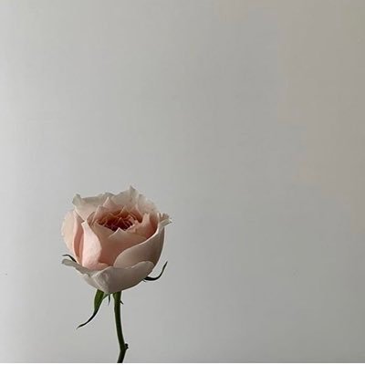𝓗𝓸𝓷𝓮𝔂さんのプロフィール画像