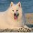 Twitter result for Misco from 1J5DjyzFJwGxgwn
