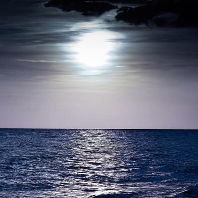 kuwaiti48940411's profile picture. كويتي