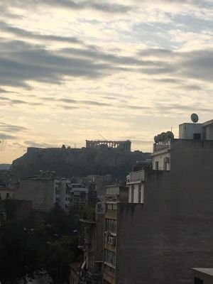 AhmetGn56529349's profile picture. Hayvansever