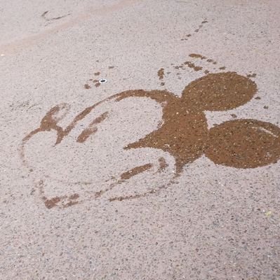 YuMeJ_4655's profile picture. 好きなものを追い続けたい