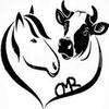 Le collectif CMR est un collectif de passionnés, de propriétaires, de professionnels et d'associations concernés par la cause animale et rurale.