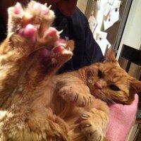 e_nach (@enachmanson) 's Twitter Profile