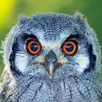 c_tom (@c_tomstone) 's Twitter Profile