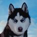 TerribleFurries (@furriesterrible) Twitter profile photo TerribleFurries (@furriesterrible) Twitter profile photo