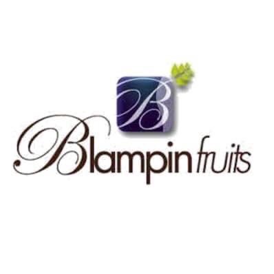 Blampin Fruits