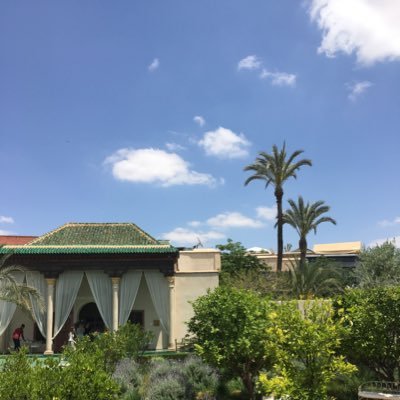 _ilyass's profile picture. 