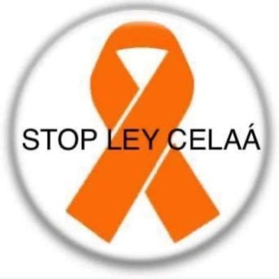 jesusdominguezp's profile picture. La amistad es un tesoro, la honradez es libertad.