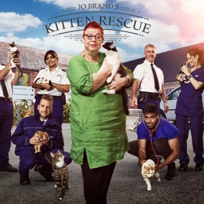 Jo Brand's Kitten Rescue! Brought to you by @middlechildtv