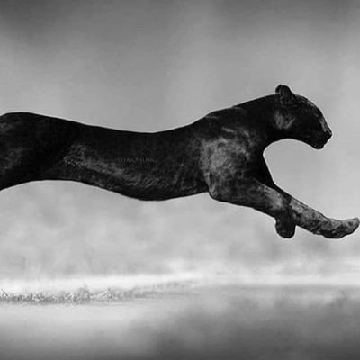 QueenEnyioma's profile picture. tweets, fact, jokes, news, and funny stuff.