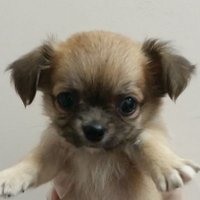 nao (@nao97192545) 's Twitter Profile