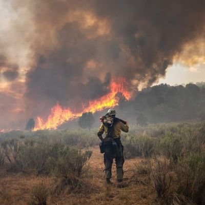 thelewdfireman's profile picture. 36M | Playing games and pumping loads 💦 NSFW/Tributes Ahead 🔞 (I do Public and Private sessions!) Discord: ff37
Minors DNI!