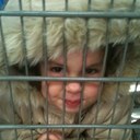 Wade Spaulding - @toomuchmollie - Twitter