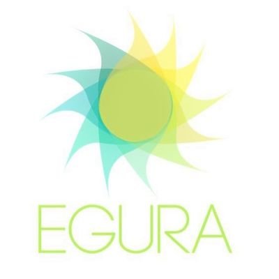 El Proyecto Egura está en pleno proceso de propuestas de Egura Business en varios países con potencial!

https://t.co/C0oaURvnxU