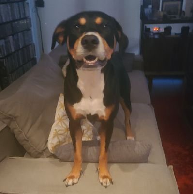 tfutrera's profile picture. 