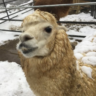 qmAU6iGnvEJC539's profile picture. 某SIerで働いているITエンジニア 新卒3年目 Vue/Nuxt/JavaScript/TypeScript/AWS/LINE/TDD/Agile/Scrum な感じでやってます