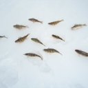 kelly maley - @quellemele - Twitter