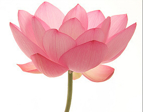 mapodaek's profile picture. 울 애들이 행복하게 살 수 있는 대한민국이 되었음 하는 아줌마..