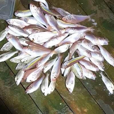 tpwr8's profile picture. 