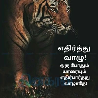 7665a14a35f8480's profile picture. 