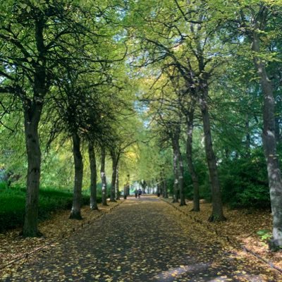 Norman30125968's profile picture. Out there looking at stuff.. 🇮🇪🤨 🏴‍☠️