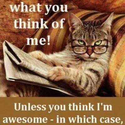 Cat58's profile picture. I am a old woman, who love Trump and Patriots!   been on here for awhile and just in the last few month start using!