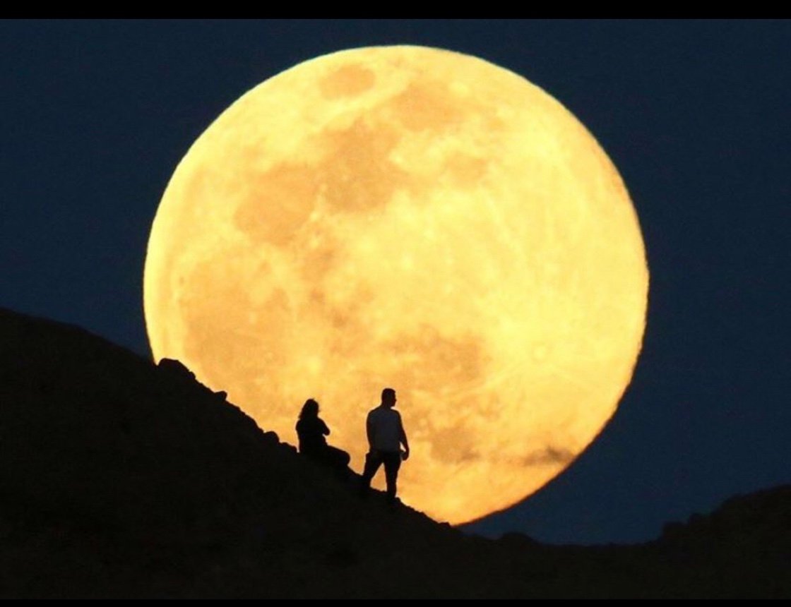 bmccann07's profile picture. Dumb replies only. couple accidental retweet’s. Born in the 19 hundreds. Virtuals Protocol ecosystem hobbyist