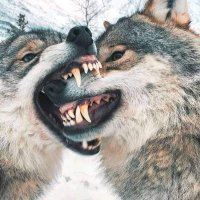 mort needham (@mortneedham) 's Twitter Profile