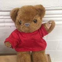 HothamBookBear (@hothambookbear) 's Twitter Profile