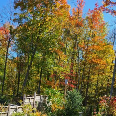 HamOntario's profile picture. Check out what’s going on in Halton and Hamilton! New technology & new businesses!