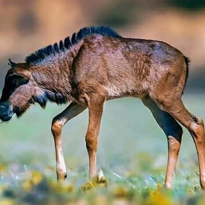 BetherGeorge's profile picture. Tourism my pride...  Tourism marketing