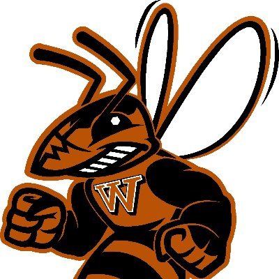 The Official Twitter Account for the Waynesburg University Yellow Jackets Women's Basketball Team. #LadyJs
follow us on Instagram @Ladyj_hoops