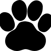 Paws4lifecares's profile picture. I'm somebody okay