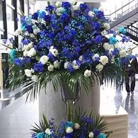 michi (@road4083) 's Twitter Profile Photo