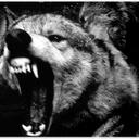 Eddie Wolf - @Eddiewolf8 - Twitter