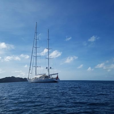 soundvoc's profile picture. 