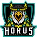 Horus Gaming (@horusgaming6) Twitter profile photo Horus Gaming (@horusgaming6) Twitter profile photo