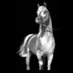 Al Reem (@r1eight) Twitter profile photo Al Reem (@r1eight) Twitter profile photo