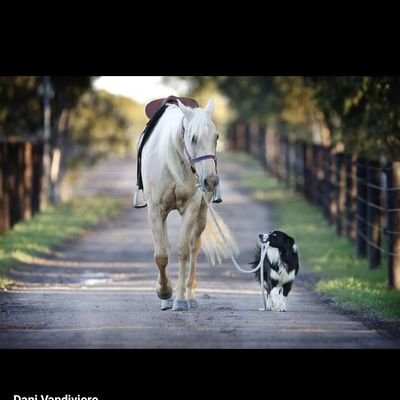 loving, nice, and caring 🏉
Lover of pet's 🐕🐈
love swimming 🌹
love nature 📸📷