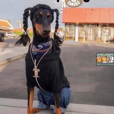 I’m a bad bitch, you can’t kill me | Mom to 4 UGLY ASS kids | Prison Survivor x34 | LGBTQ supporter & protester | I have a wife | Works at NASA |