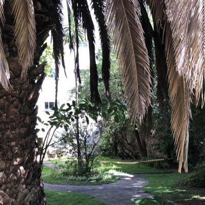 suarlos's profile picture. Si tienes miedo de fallar, probablemente fallaras.